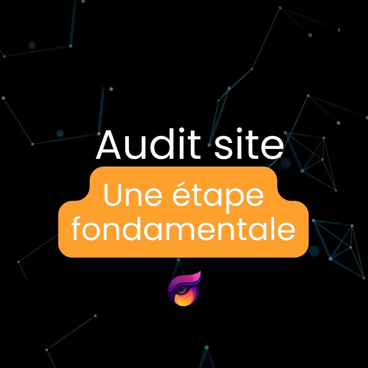 le prix d'un audit site web